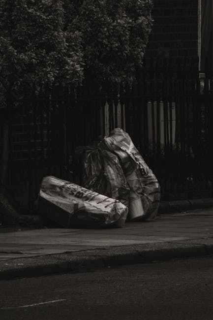 Best rubbish removal services near Clissold Park Stoke Newington