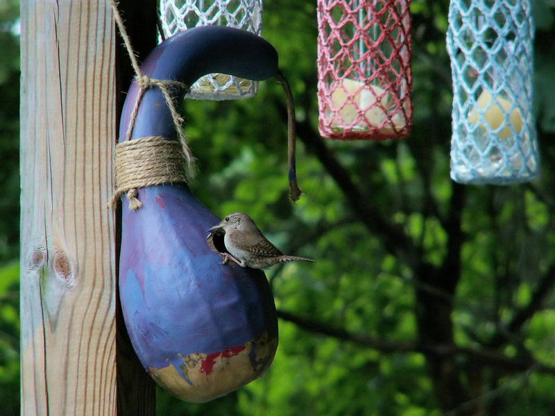 How to Ensure Your PPE Waste Is Disposed of Correctly